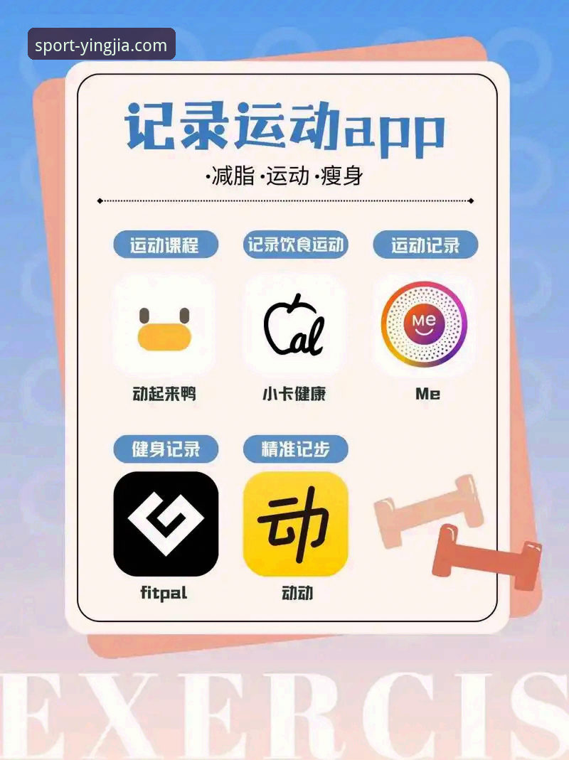 盈嘉体育平台APP安装与使用完整指南：从下载到实时分析工具上手